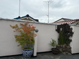 photo-12
