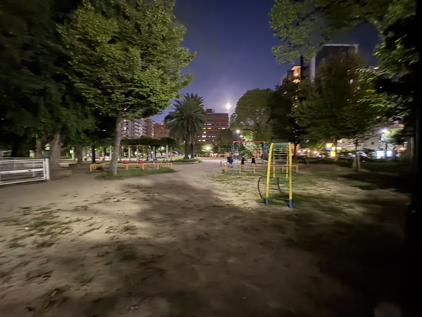 photo-1