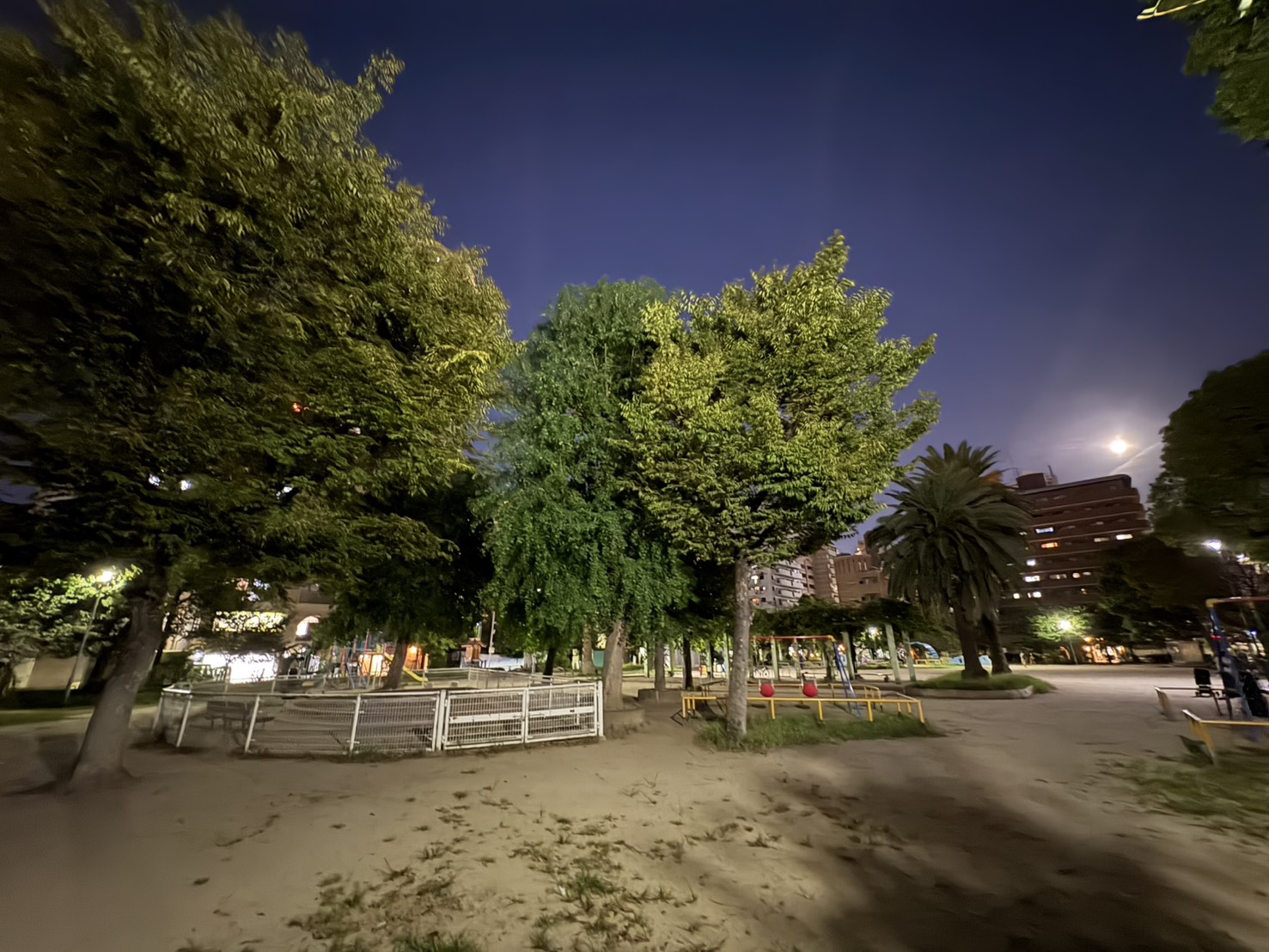 photo-2