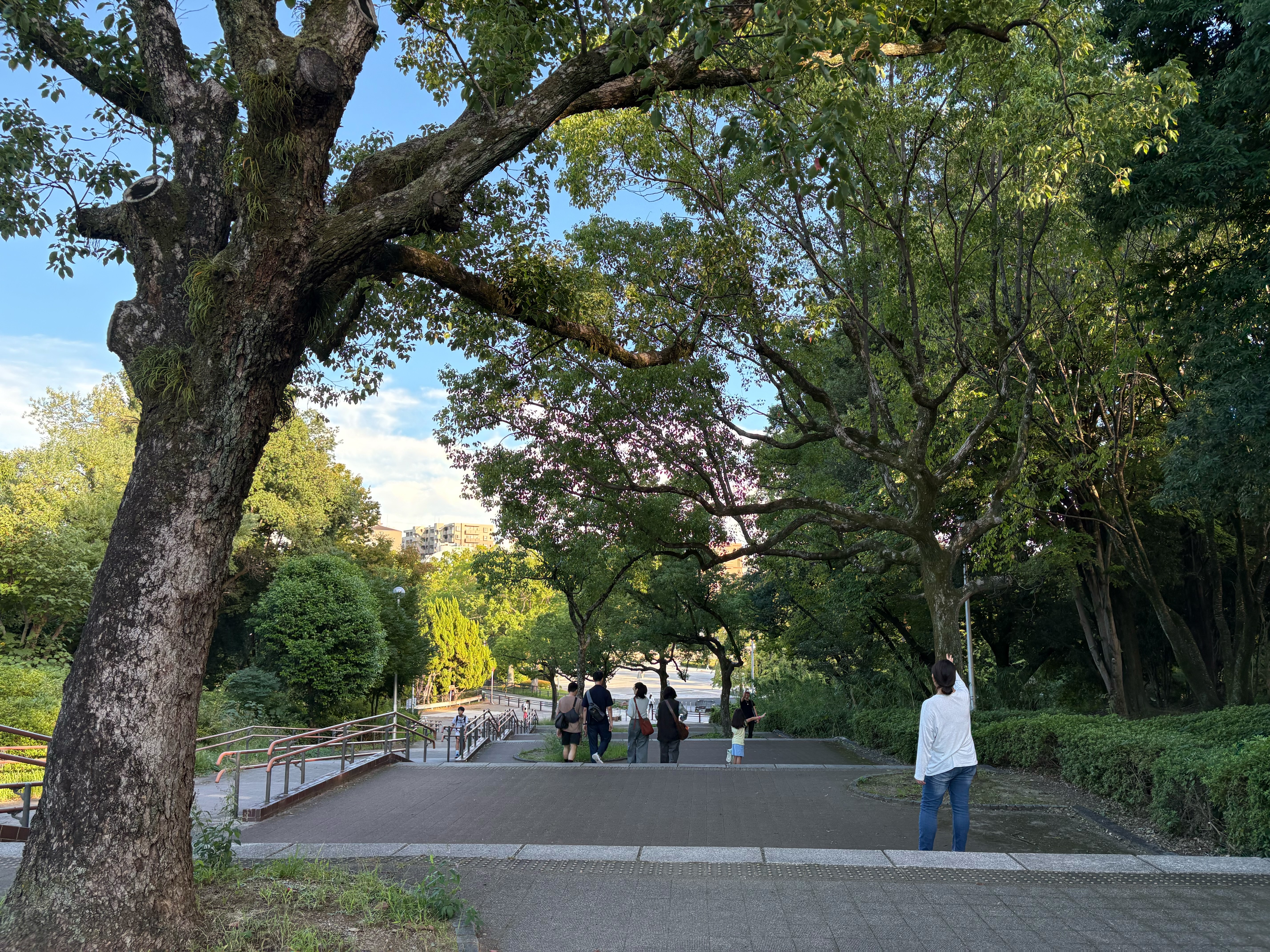 park