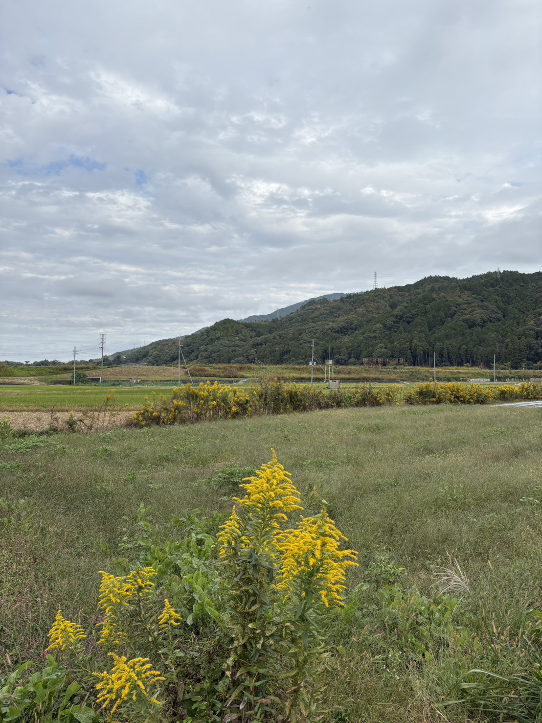 photo-6