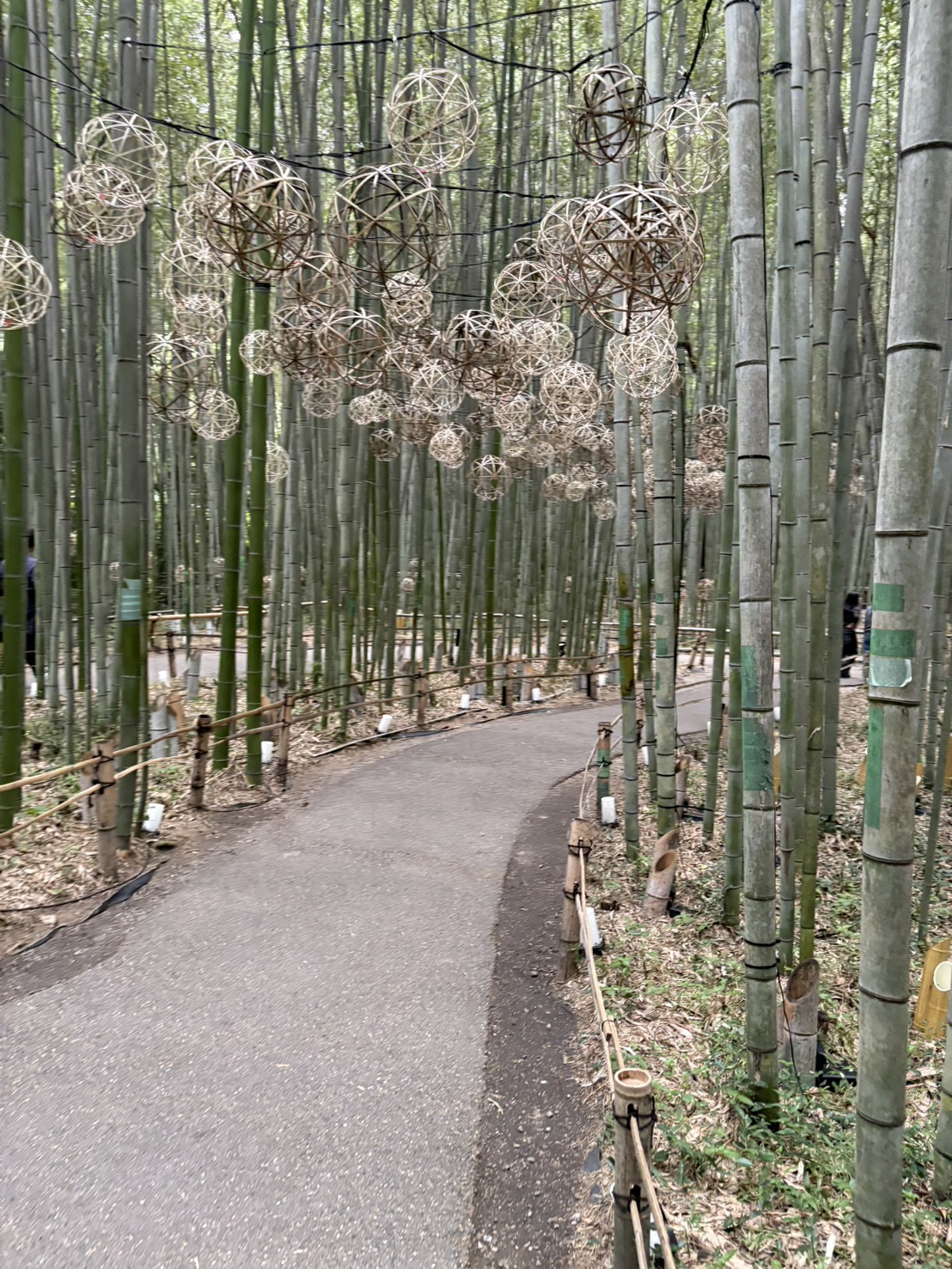 photo-2