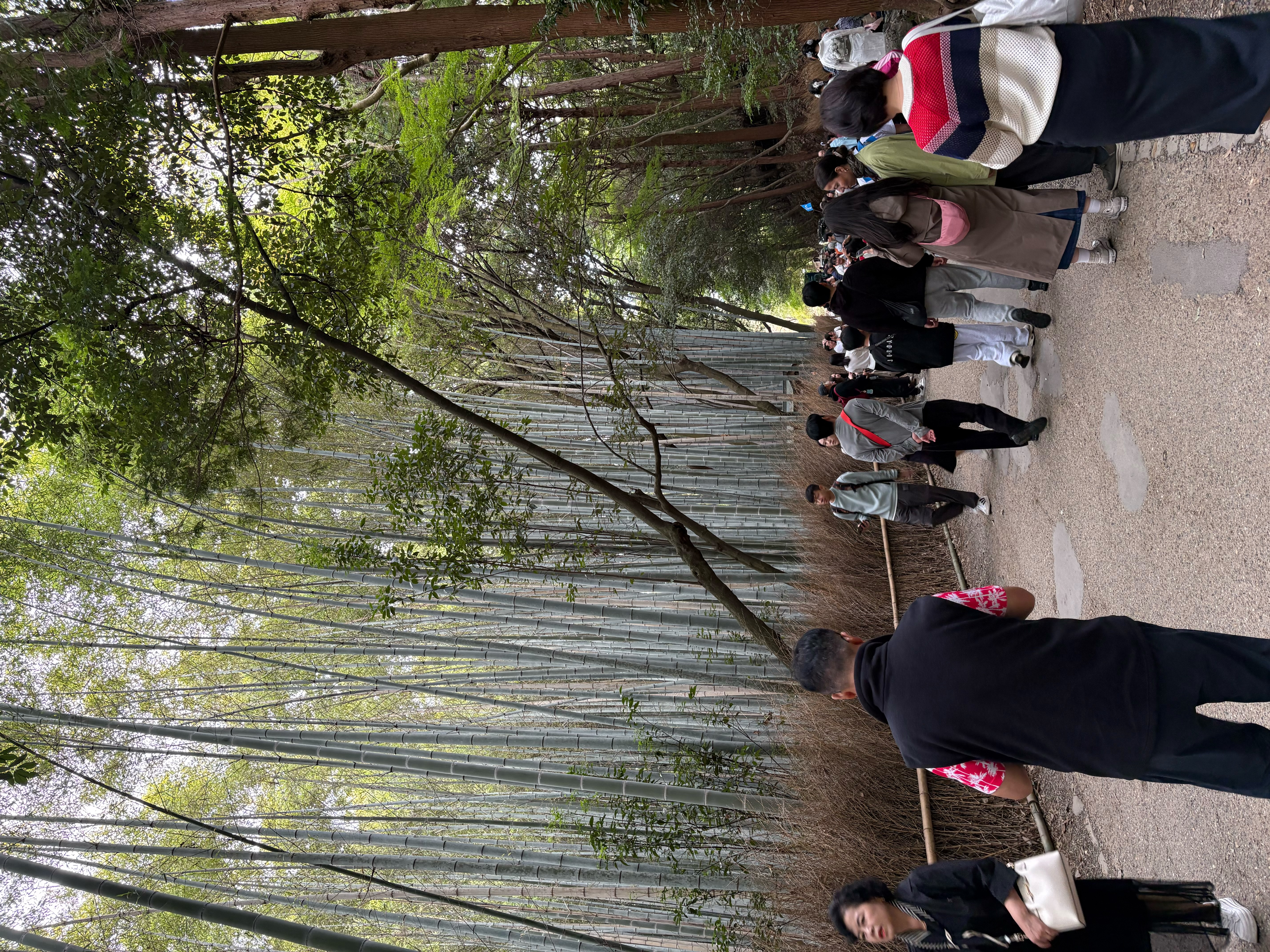 photo-5