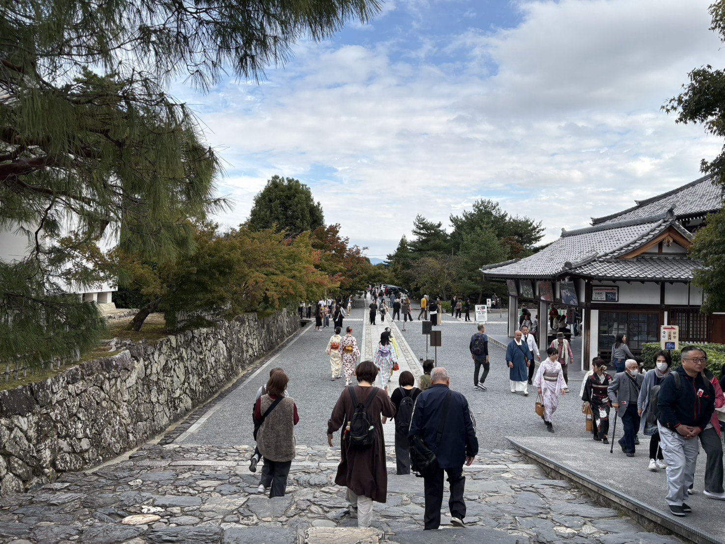 photo-2
